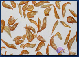 FD Small Shrimps FD Small Shrimps